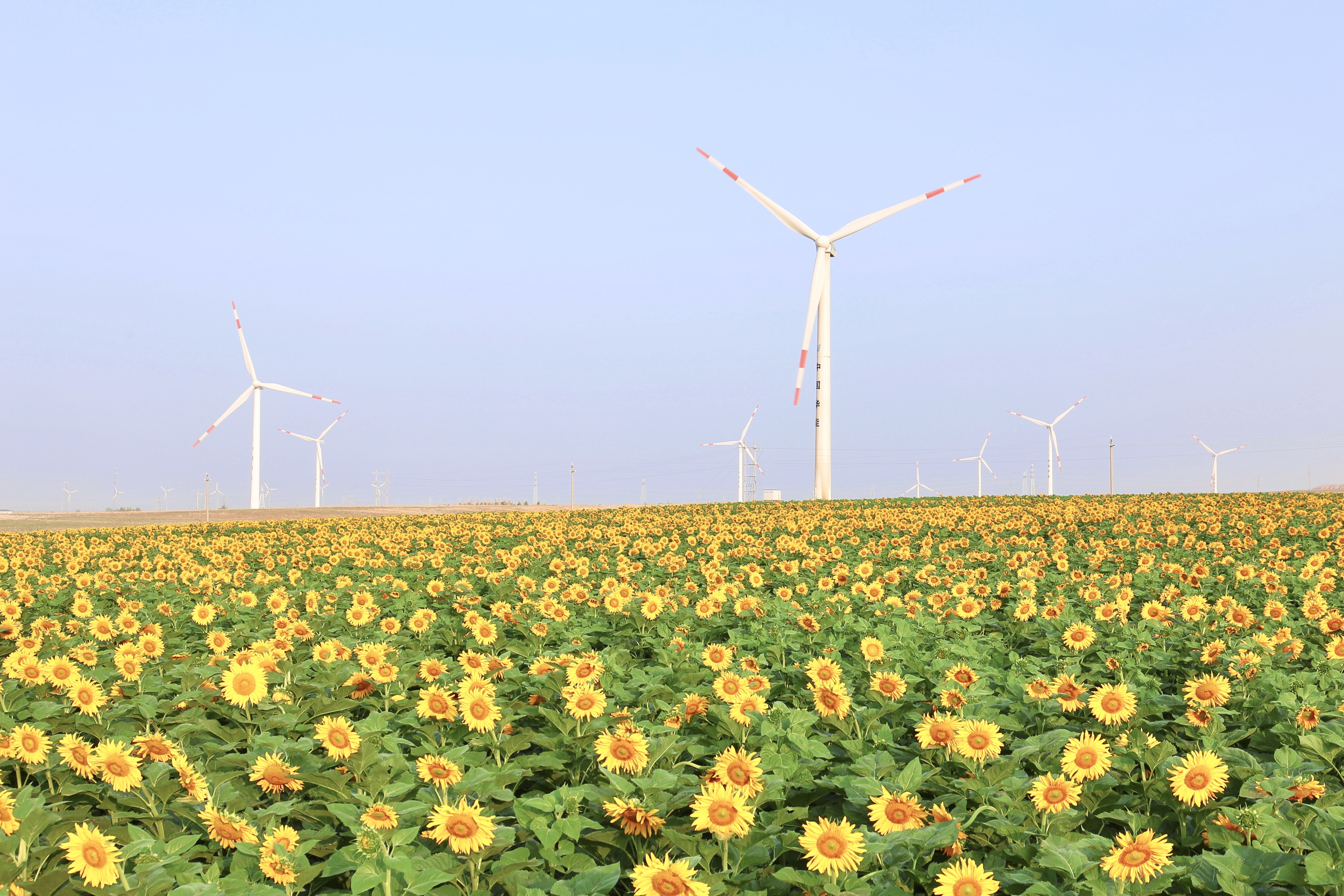 億彩网股份助力推动风电场控制技术国际研发项目顺利实施