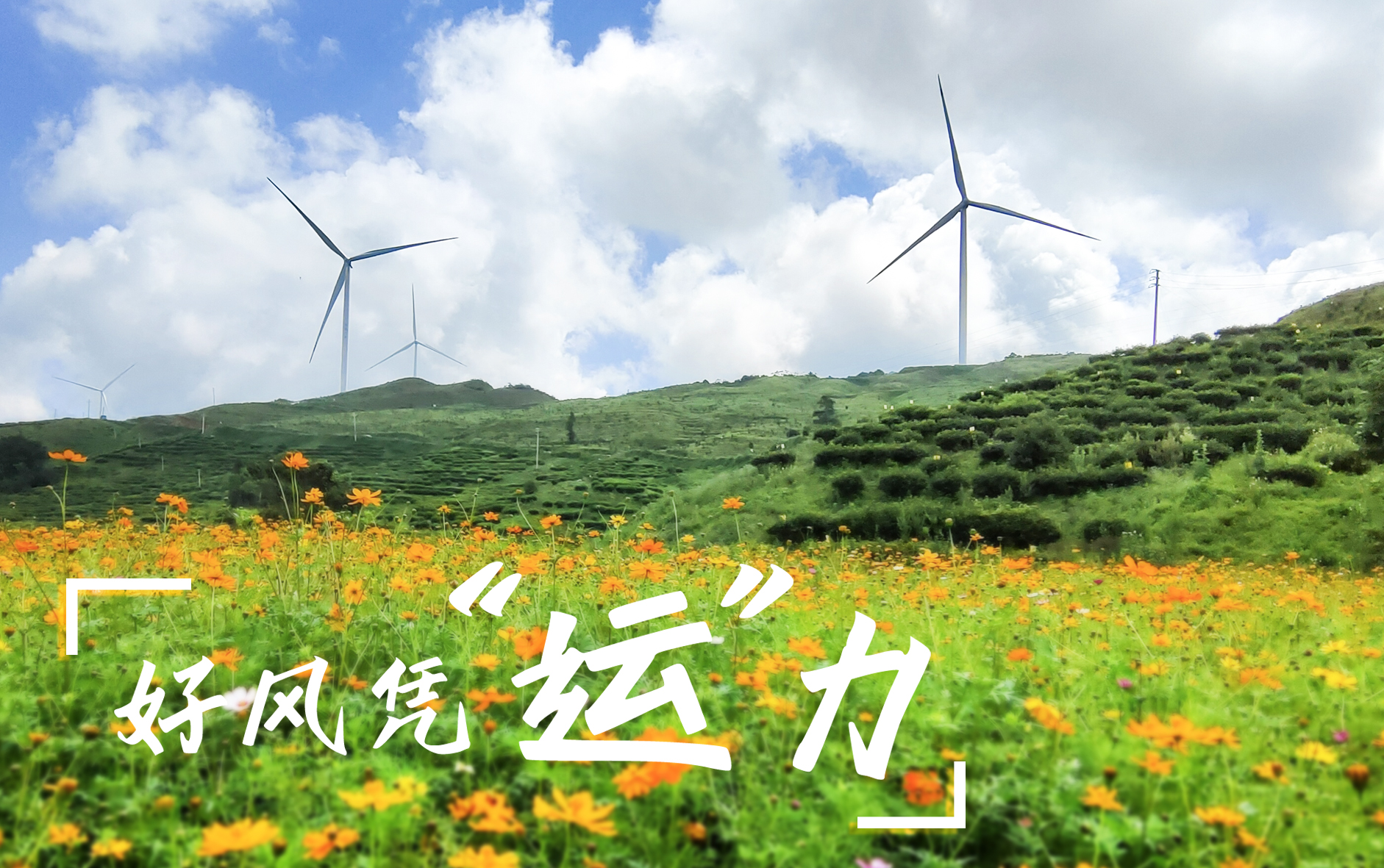 【好风凭“运”力】“大风车”转出乡村振兴新路子