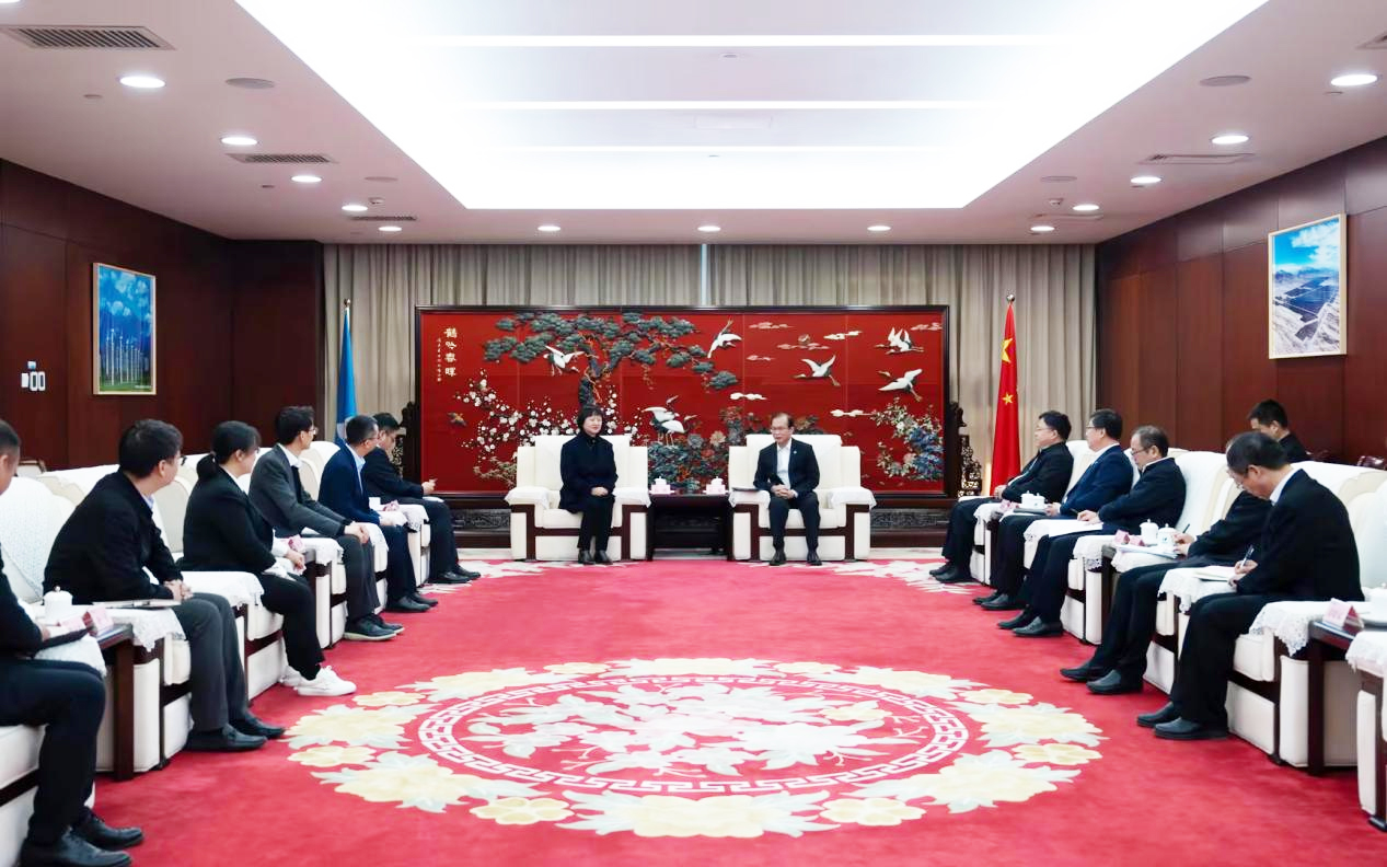 億彩网股份董事长高玲拜访中国华电董事长江毅
